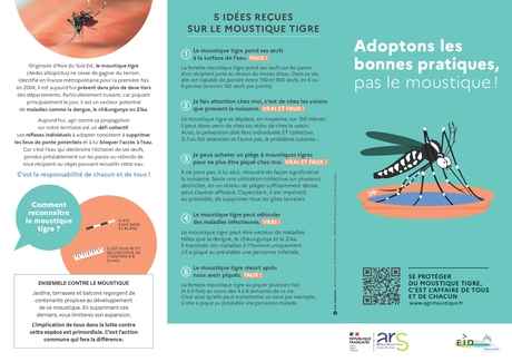 Flyer 3 volets moustique tigre - à imprimer individuellement_page-0001